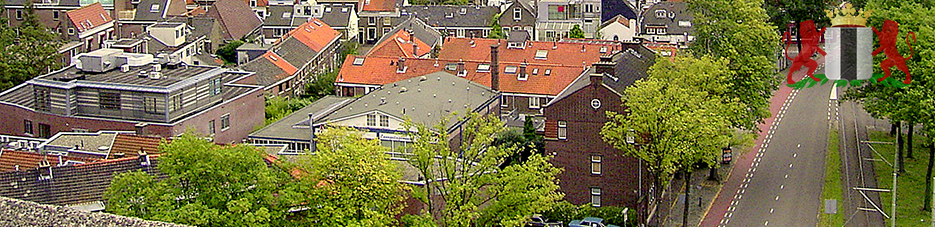Zonnepanelen Delft